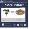 sex product powder maca root extract