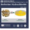 high quality bulk 97% berberine hcl