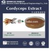 ipolysaccharide 10%-50% uv cordyceps extract